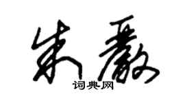 朱錫榮朱嚴草書個性簽名怎么寫