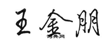 駱恆光王金朋行書個性簽名怎么寫