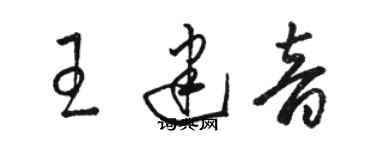 駱恆光王建音草書個性簽名怎么寫