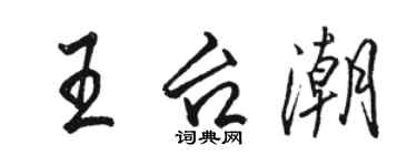 駱恆光王台潮行書個性簽名怎么寫