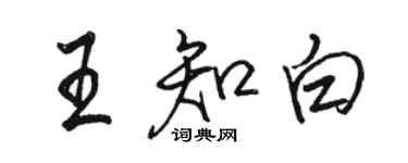 駱恆光王知白行書個性簽名怎么寫