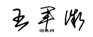 朱錫榮王軍微草書個性簽名怎么寫