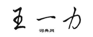 駱恆光王一力行書個性簽名怎么寫