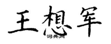 丁謙王想軍楷書個性簽名怎么寫