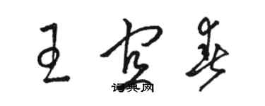 駱恆光王宜春草書個性簽名怎么寫