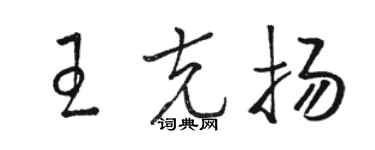駱恆光王克揚草書個性簽名怎么寫