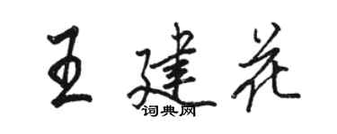 駱恆光王建花行書個性簽名怎么寫