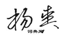 駱恆光楊爽草書個性簽名怎么寫