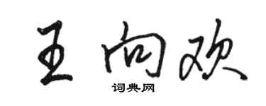 駱恆光王向歡行書個性簽名怎么寫