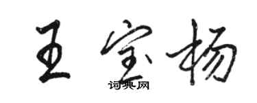 駱恆光王寶楊行書個性簽名怎么寫