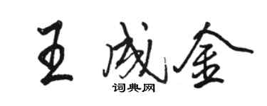 駱恆光王成金行書個性簽名怎么寫