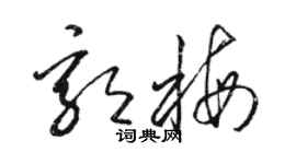 駱恆光郭梅草書個性簽名怎么寫