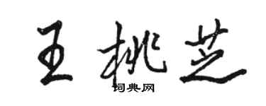 駱恆光王桃芝行書個性簽名怎么寫