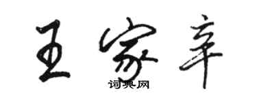 駱恆光王家辛行書個性簽名怎么寫