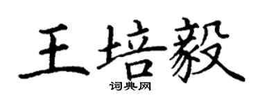 丁謙王培毅楷書個性簽名怎么寫