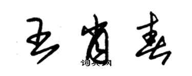 朱錫榮王肖春草書個性簽名怎么寫