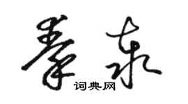 駱恆光秦泰草書個性簽名怎么寫
