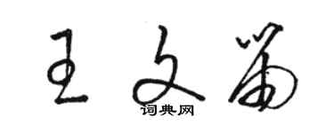 駱恆光王文笛草書個性簽名怎么寫