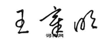 駱恆光王章明草書個性簽名怎么寫