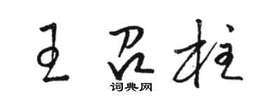 駱恆光王召柱草書個性簽名怎么寫