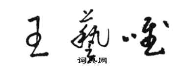 駱恆光王藝唯草書個性簽名怎么寫