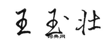 駱恆光王玉壯行書個性簽名怎么寫