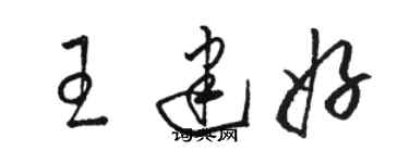 駱恆光王建好草書個性簽名怎么寫