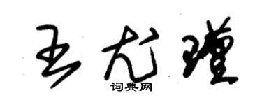 朱錫榮王尤瑾草書個性簽名怎么寫