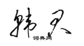 駱恆光韓君草書個性簽名怎么寫