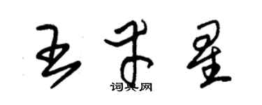 朱錫榮王幸星草書個性簽名怎么寫