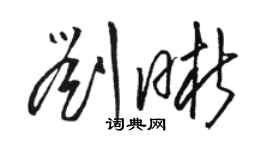 駱恆光劉晰草書個性簽名怎么寫