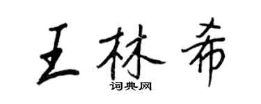 王正良王林希行書個性簽名怎么寫