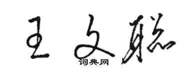 駱恆光王文聰草書個性簽名怎么寫