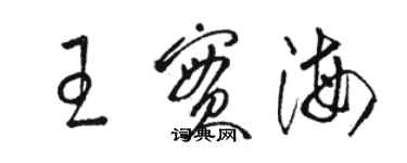 駱恆光王實海草書個性簽名怎么寫