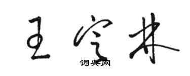 駱恆光王定林草書個性簽名怎么寫