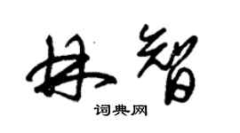 朱錫榮林智草書個性簽名怎么寫