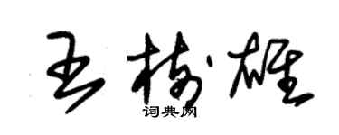 朱錫榮王樹雄草書個性簽名怎么寫