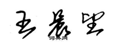 朱錫榮王晨望草書個性簽名怎么寫