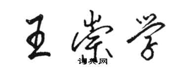 駱恆光王崇學行書個性簽名怎么寫