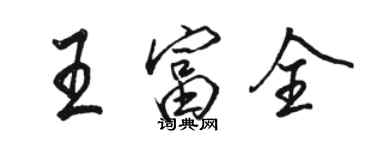 駱恆光王富全行書個性簽名怎么寫