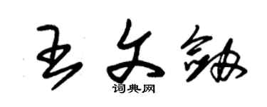 朱錫榮王文劍草書個性簽名怎么寫