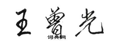 駱恆光王曾光行書個性簽名怎么寫