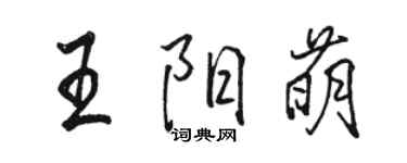 駱恆光王陽萌行書個性簽名怎么寫