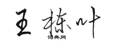 駱恆光王棟葉行書個性簽名怎么寫