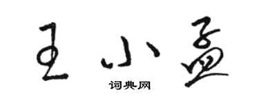 駱恆光王小孟草書個性簽名怎么寫