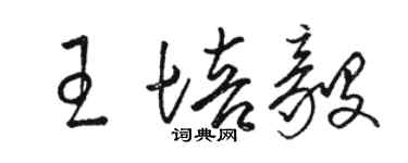 駱恆光王培毅草書個性簽名怎么寫