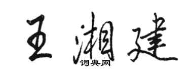 駱恆光王湘建行書個性簽名怎么寫