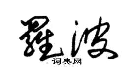 朱錫榮羅波草書個性簽名怎么寫