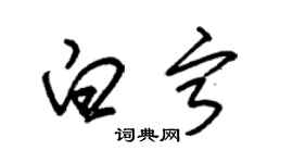 朱錫榮白寧草書個性簽名怎么寫