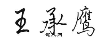 駱恆光王承鷹行書個性簽名怎么寫